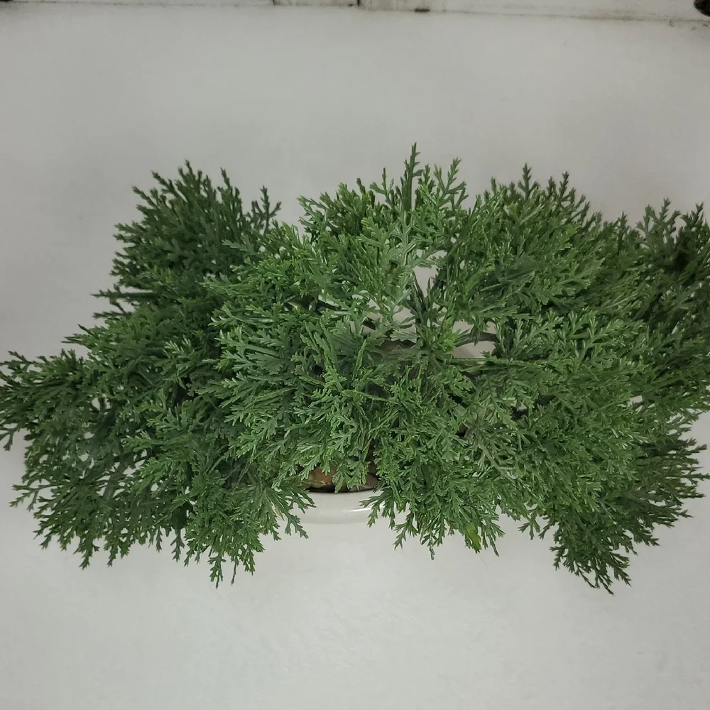 No Brand elegant green